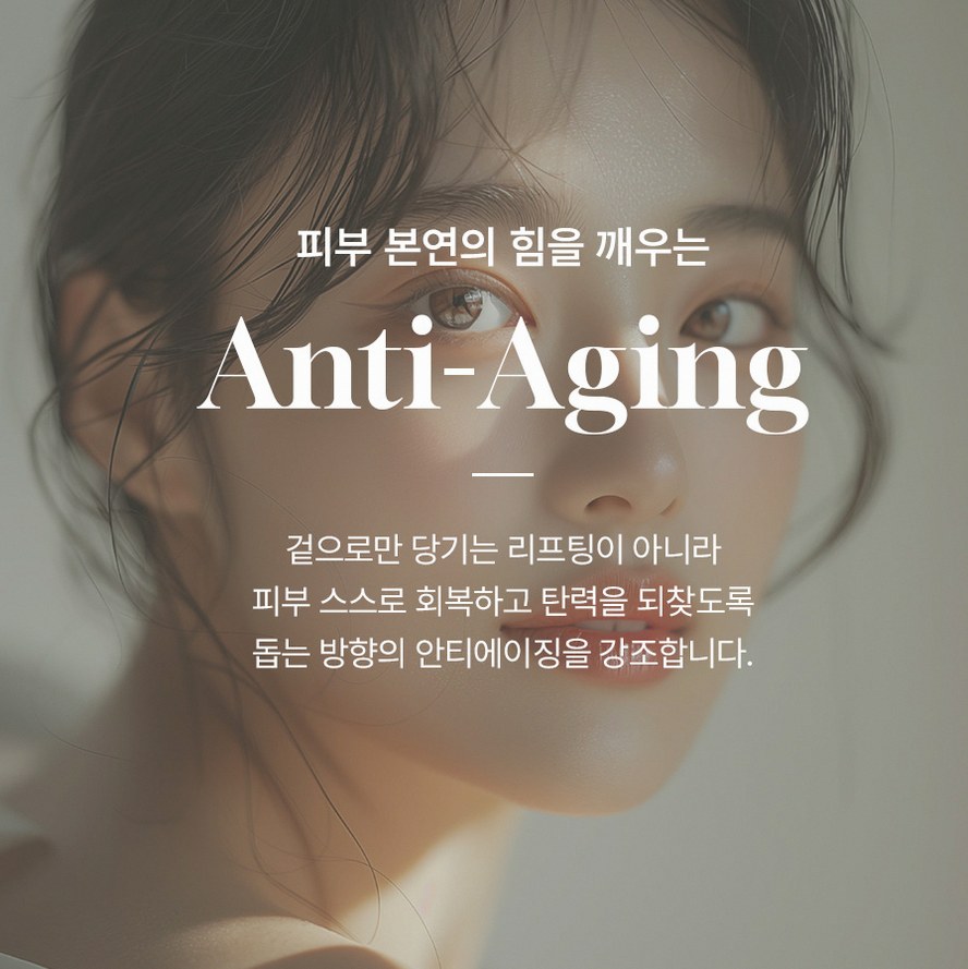 본문 내용을 보조하는 이미지