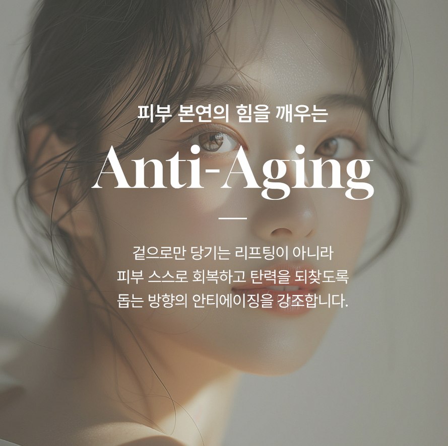 본문 내용을 보조하는 이미지