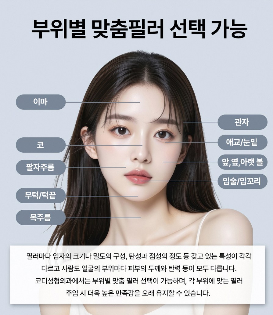 본문 내용을 보조하는 이미지
