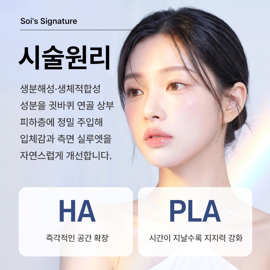 본문 내용을 보조하는 이미지