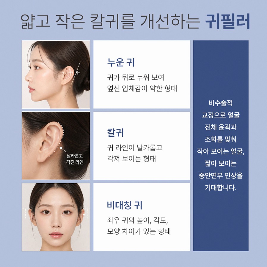 본문 내용을 보조하는 이미지