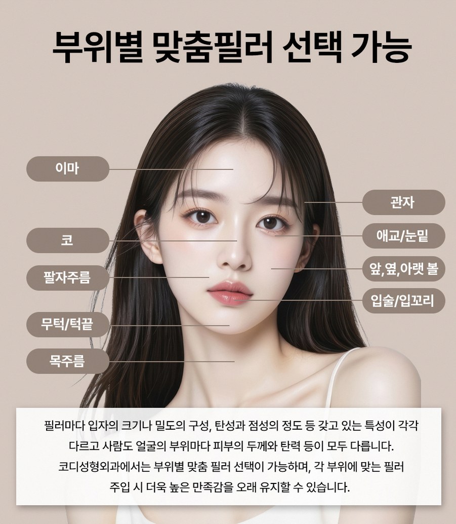 본문 내용을 보조하는 이미지