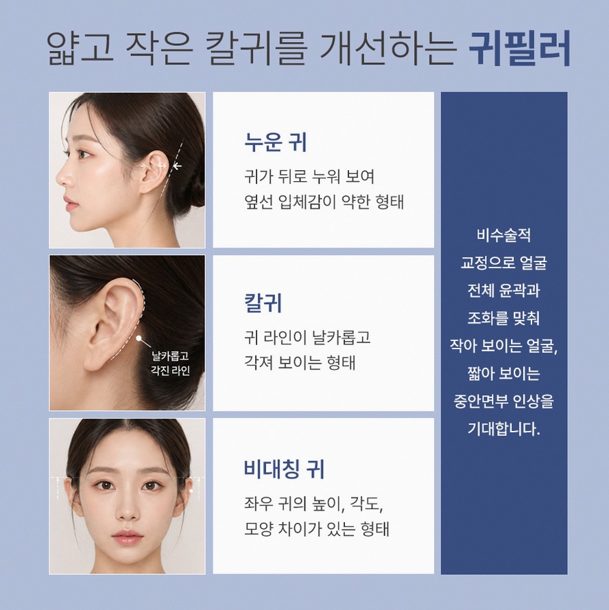 본문 내용을 보조하는 이미지