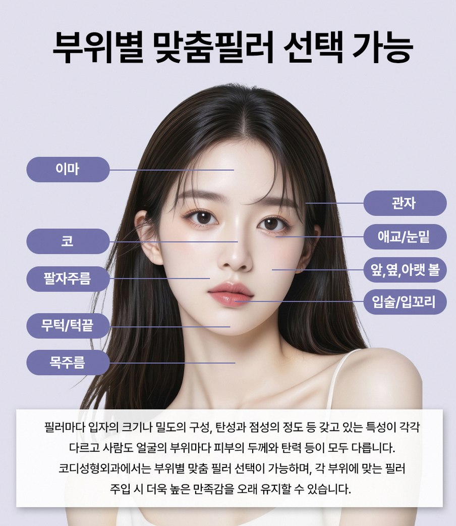 본문 내용을 보조하는 이미지