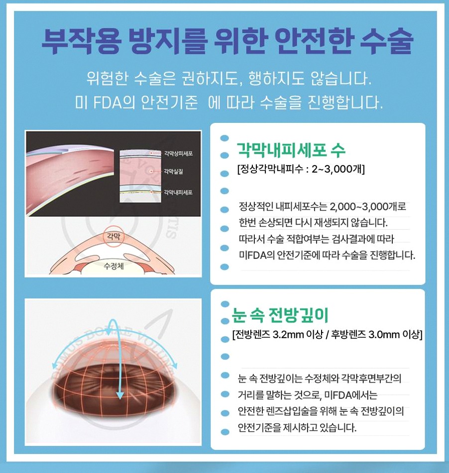 본문 내용을 보조하는 이미지
