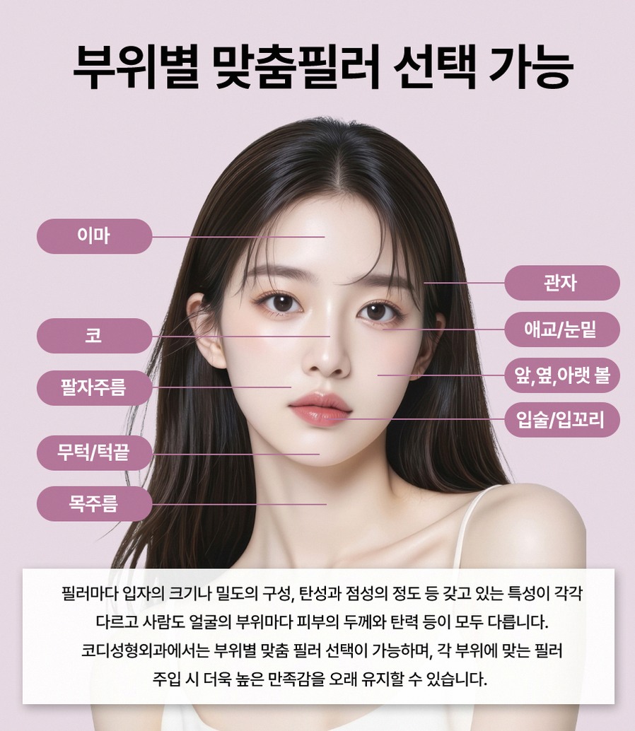 본문 내용을 보조하는 이미지