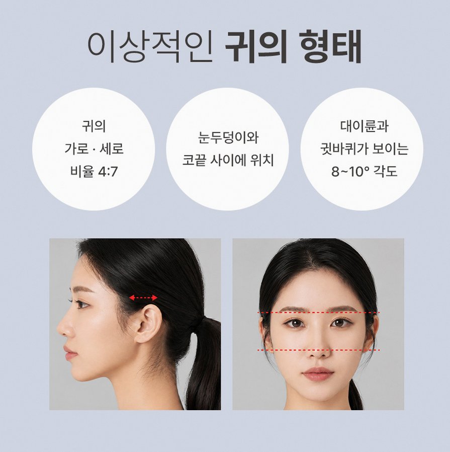 본문 내용을 보조하는 이미지
