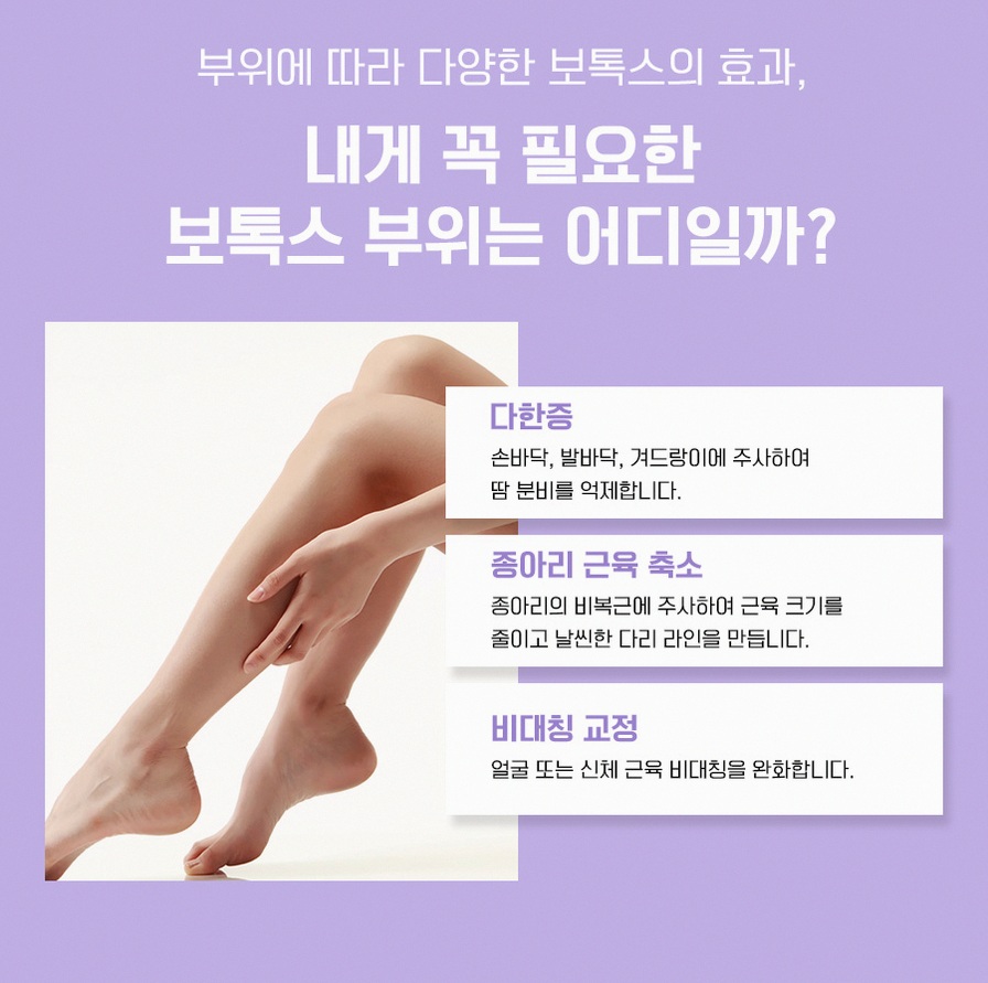 본문 내용을 보조하는 이미지