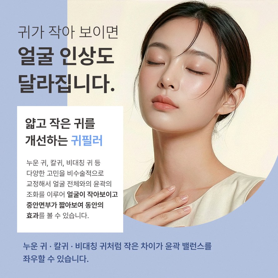 본문 내용을 보조하는 이미지
