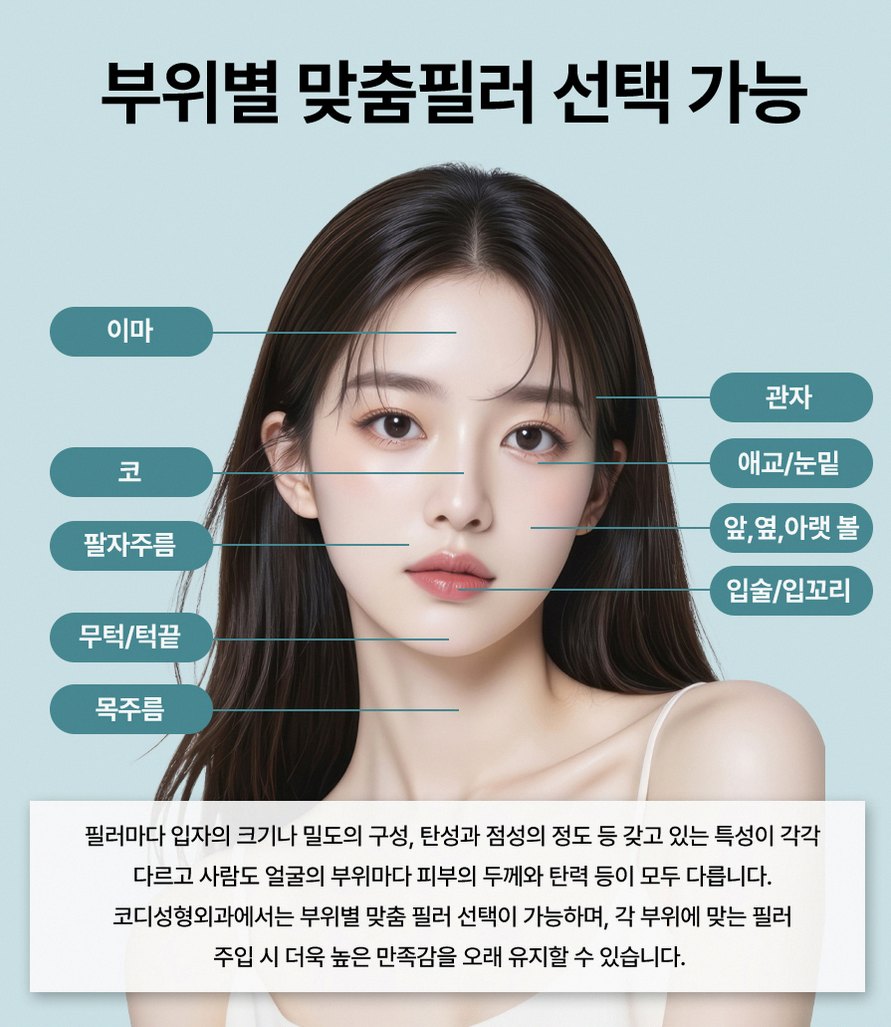 본문 내용을 보조하는 이미지