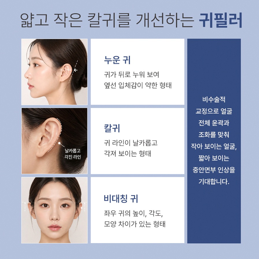 본문 내용을 보조하는 이미지