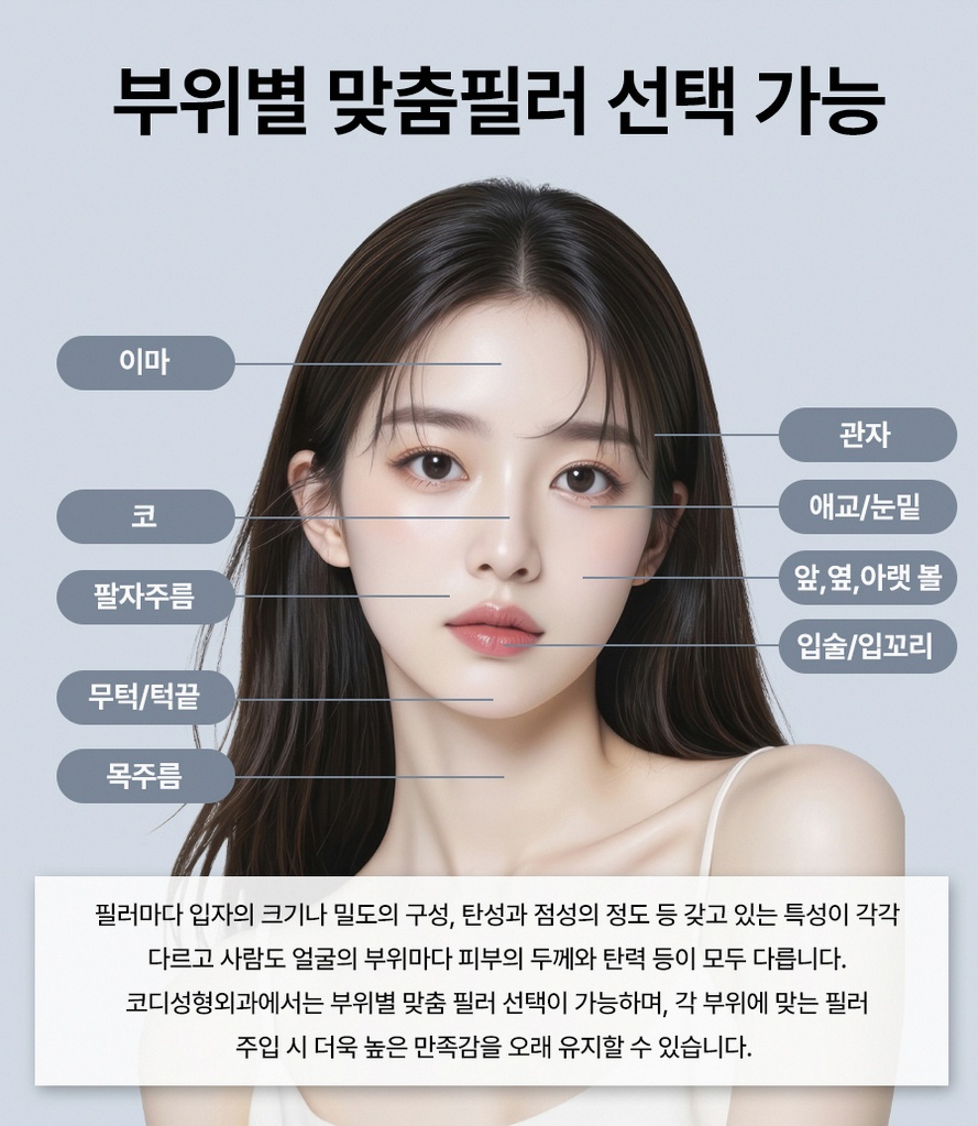 본문 내용을 보조하는 이미지