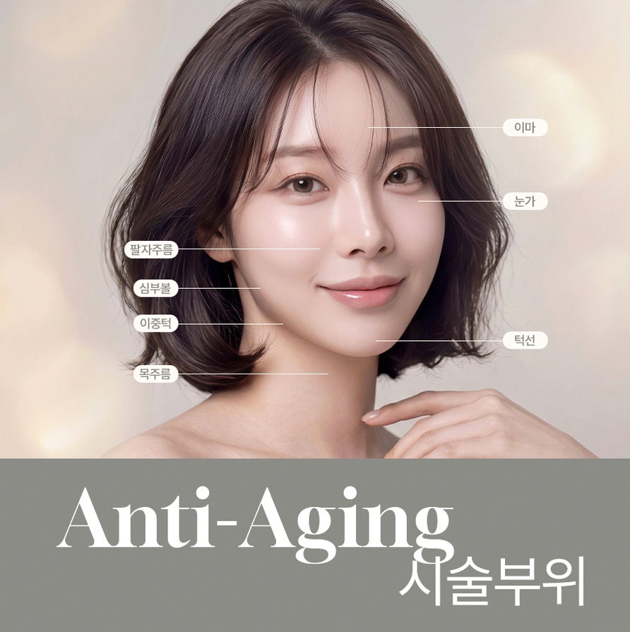 본문 내용을 보조하는 이미지