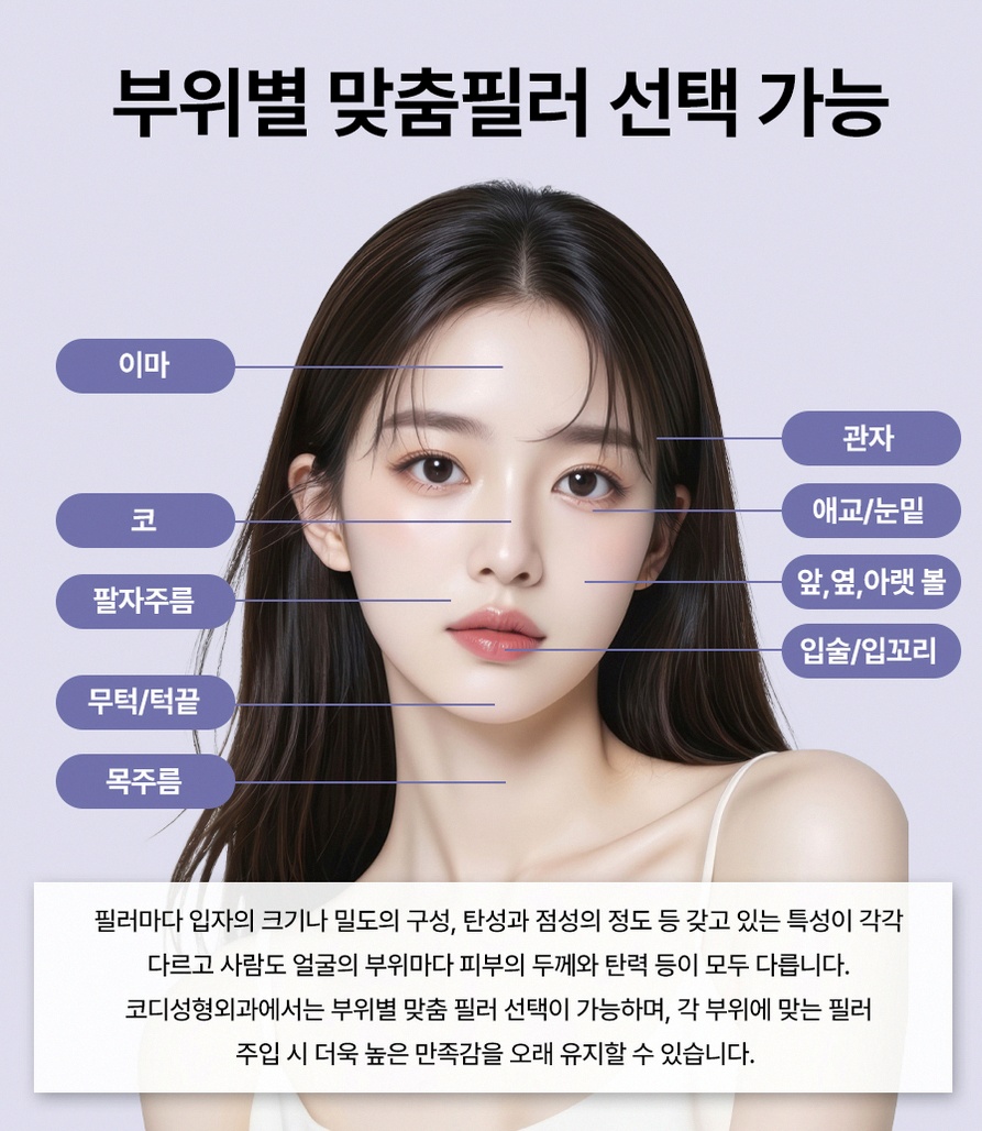 본문 내용을 보조하는 이미지