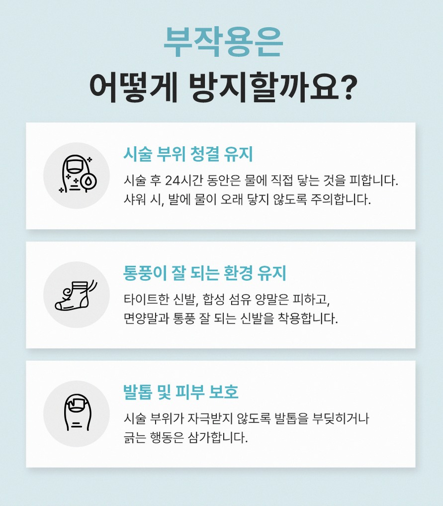 본문 내용을 보조하는 이미지