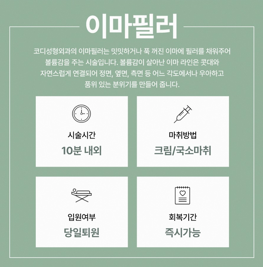 본문 내용을 보조하는 이미지