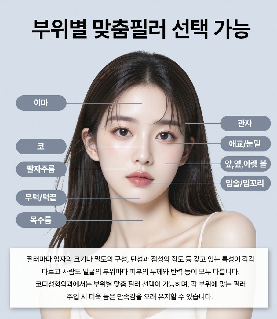 본문 내용을 보조하는 이미지