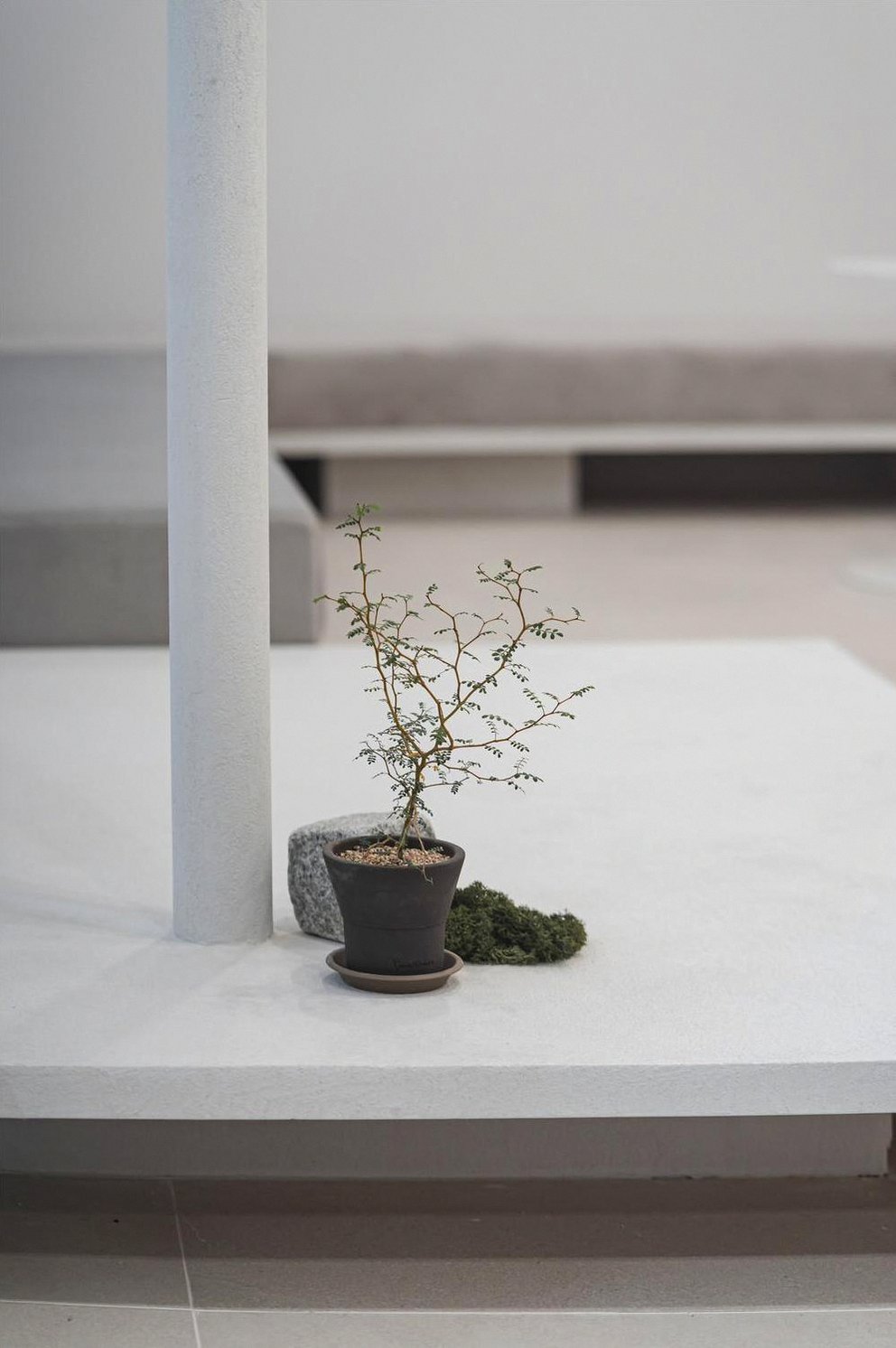 본문 내용을 보조하는 이미지