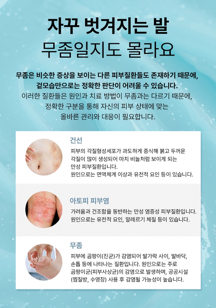 본문 내용을 보조하는 이미지
