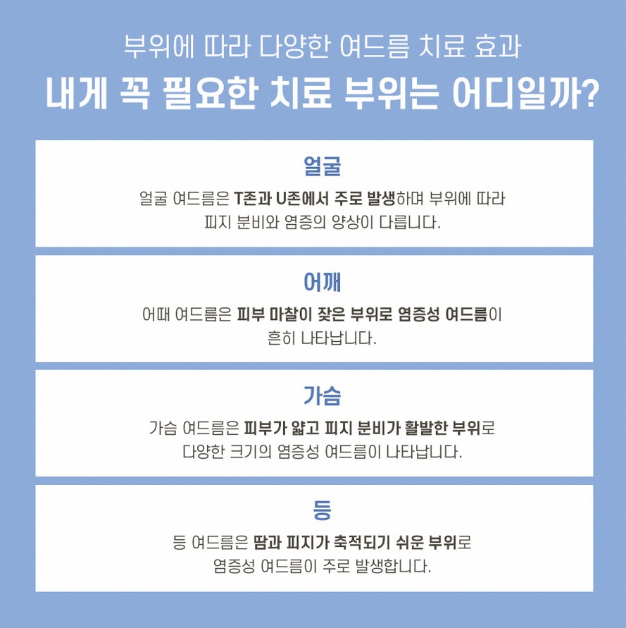본문 내용을 보조하는 이미지