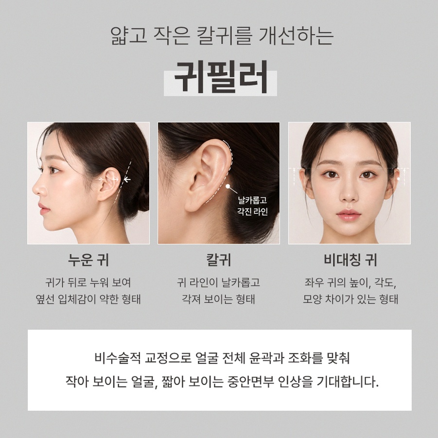 본문 내용을 보조하는 이미지
