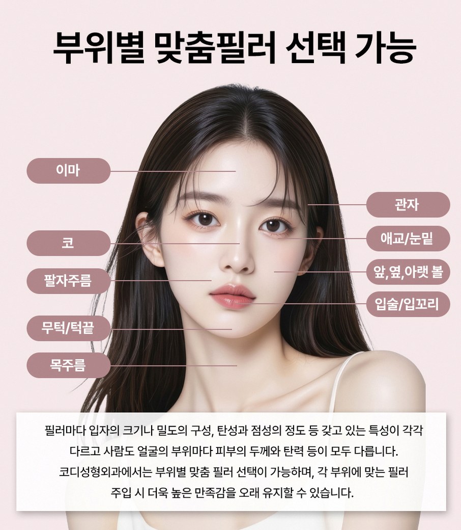 본문 내용을 보조하는 이미지