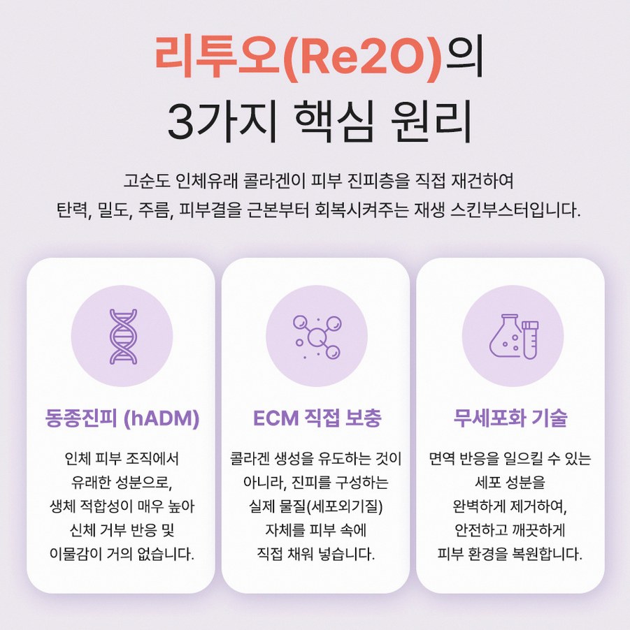 본문 내용을 보조하는 이미지