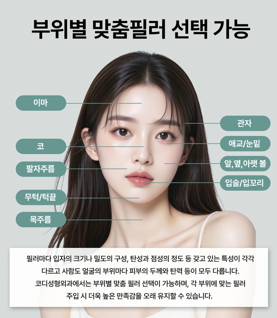 본문 내용을 보조하는 이미지