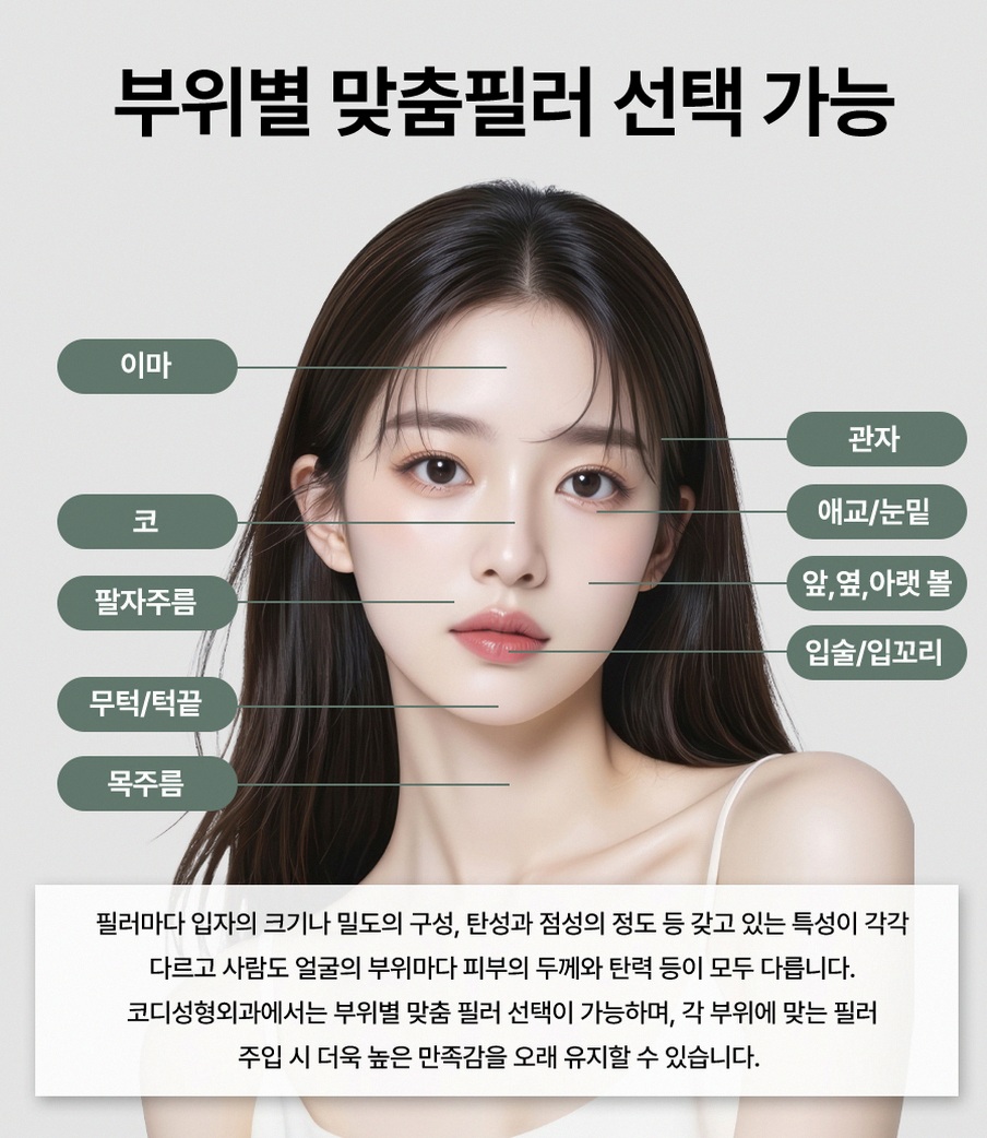본문 내용을 보조하는 이미지