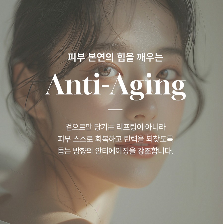 본문 내용을 보조하는 이미지