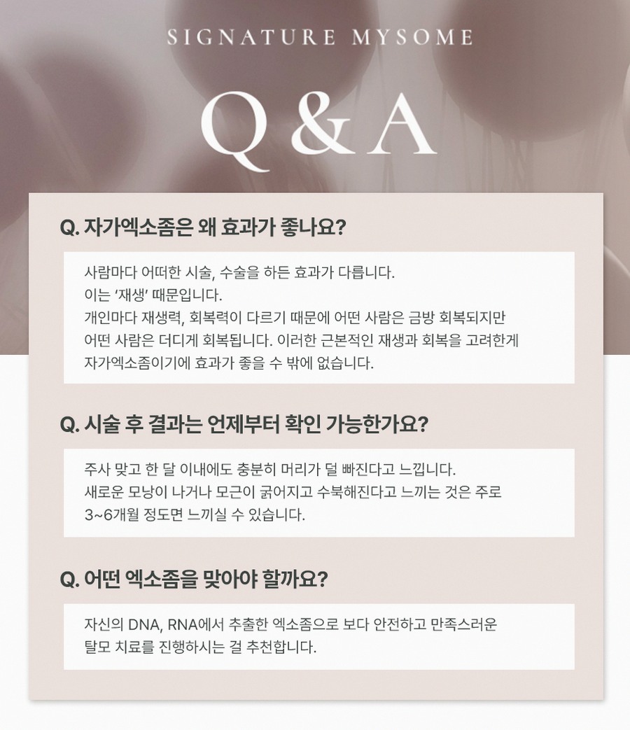 본문 내용을 보조하는 이미지